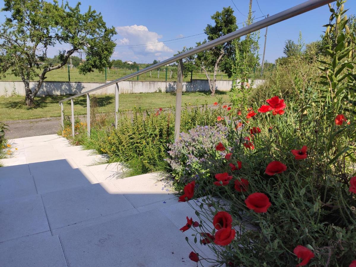 Domaine Des Arts Hotel Dompierre  Kültér fotó